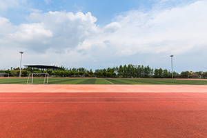 北京小升初国际学校择校指南