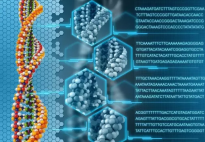 IGCSE、A-level生物科目五月备考攻略