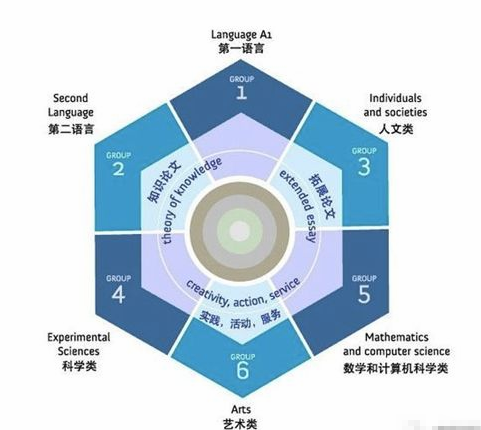 小心|国际IB课程选课套路太深！