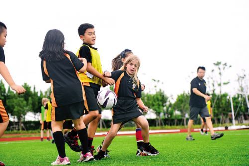 国际学校，中考前的“双保险”！