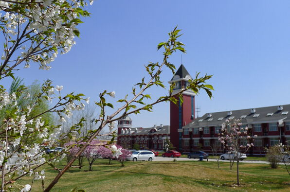 爱迪学校告诉您北京国际学校的分类