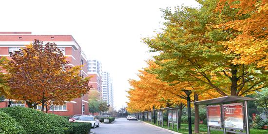 北京市第十二中学介绍