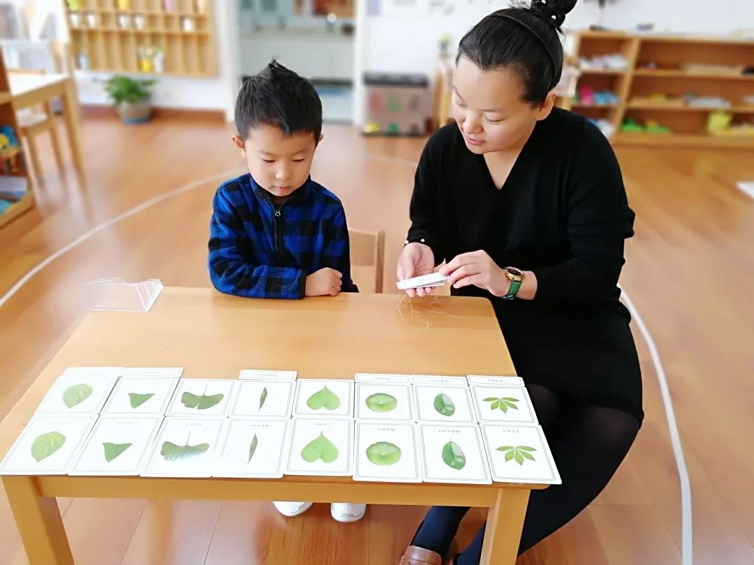 中关村外国语学校活动招募|邀您参加本周六「蒙特梭利幼小衔接体验课」