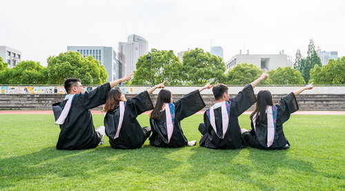 美达菲学校学生成绩概况