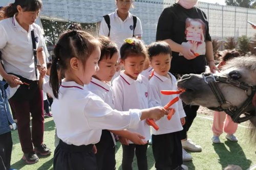 力迈中美国际学校