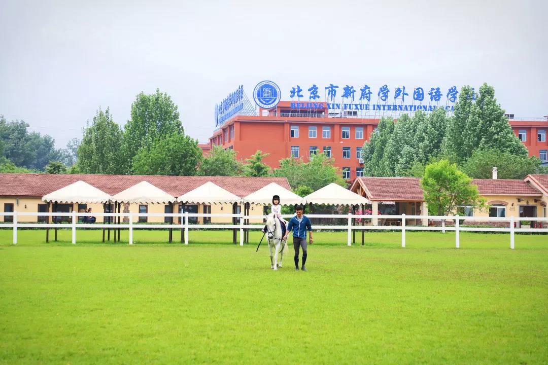 新府学2.jpg