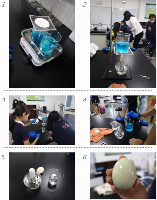 北京君诚学校