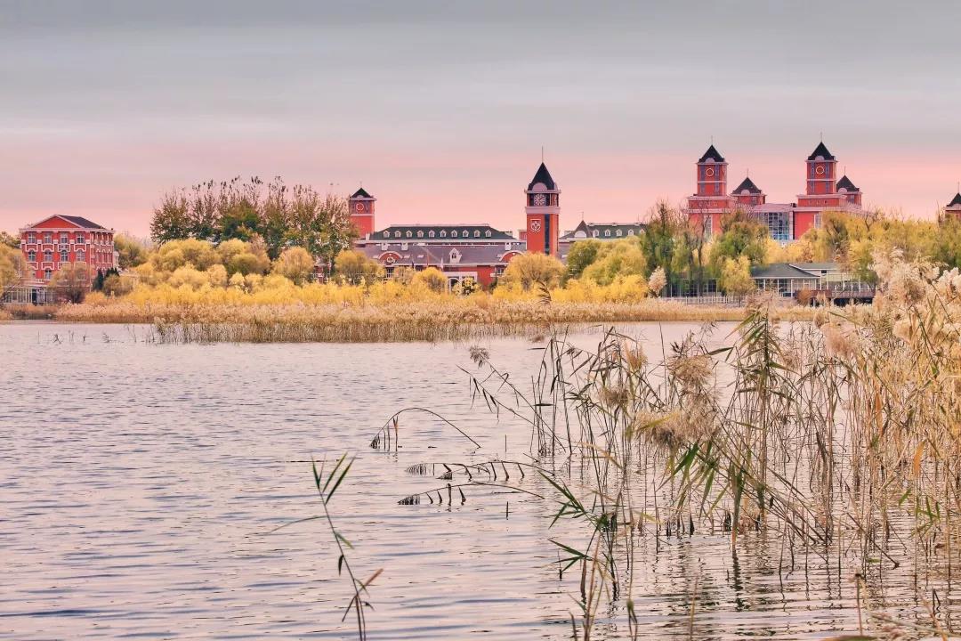 穿过雾霾 ，我们帮你留住了北京爱迪学校最美的秋景